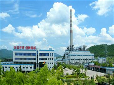 福建華(hua)電邵武發電廠(chang)