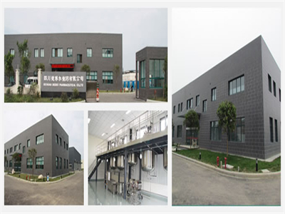 四(sì)川德博爾(ěr)制藥有限(xian)公司