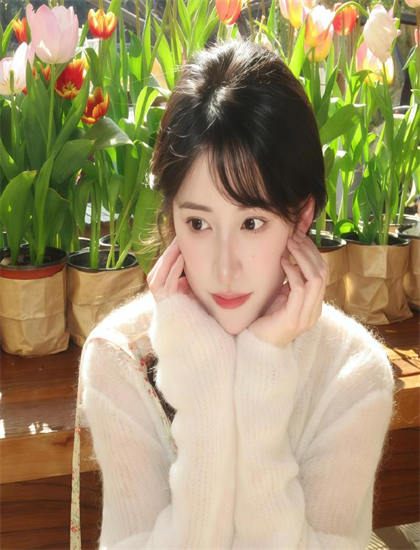 特别收录：《江南四才子1987》娱乐指数：观赏性与娱乐价值综合评价